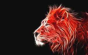 The lion (panthera leo) is a species in the family felidae and a member of the genus panthera. Red Lion Wallpapers Wallpaper Cave
