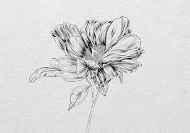 how to draw a realistic flower sketch