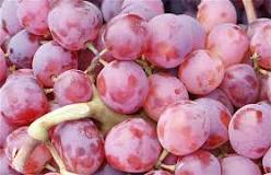 what-are-seeded-grapes-called