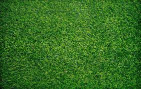 Top View Of Green Artificial Grass