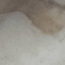 can you kill mold on carpet my stay