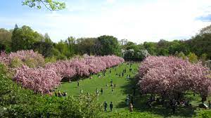 brooklyn botanic garden park review