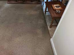 carpet cleaning new canaan dms carpet