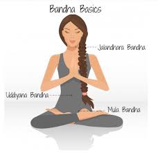 what is mula bandha devvrat yoga sangha