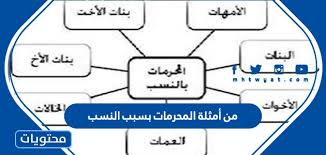 حرمة من بسبب النسب مؤبدة المحرمات أي من