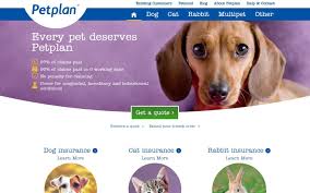 Pet insurance pays, partly or in total, for veterinary treatment of the insured person's ill or injured pet. Best Pet Insurance And How To Find The Right Cover