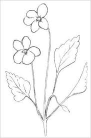 Find images of flower drawing. Easy Flowers To Draw Easy Flower Drawings Flower Drawing Simple Flower Drawing