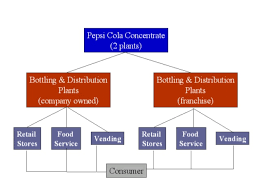 Pepsico Sales Structure