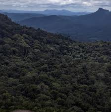 deforestation in the brazilian amazon