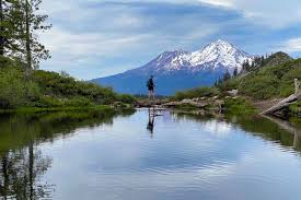 The 11 Best Things to Do in Mount Shasta for a Weekend Trip