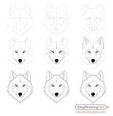 how to draw a wolf face head step by