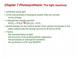Ppt Chapter 7 Photosynthesis The