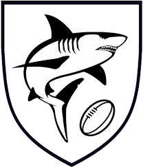 stockholm sharks rugby football club