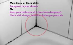 clean black mold in shower silicone