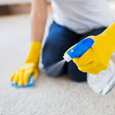 the best 10 carpet cleaning in bristol