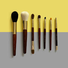 limited ediion travel sz brush set