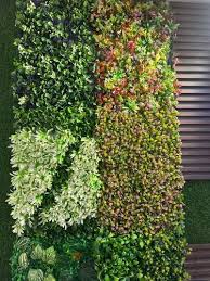 Pvc Artificial Vertical Garden Wall