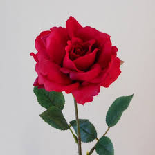 32,080 free images of rose flower. Real Touch Rose Red Artificial Flowers