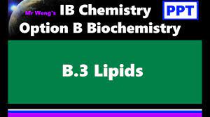 ib chemistry sl option b biochemistry b