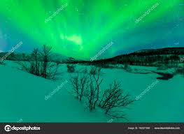Northern Lights Above Trees In A Winter Landscape Stock