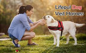 Lifepul No Pull Dog Vest Harness Dog Body Padded Vest Comfort Control For Large Dogs In Training Walking No More Pulling Tugging Or Choking
