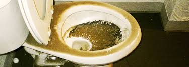 Safe Ways To Clean Your Toilet Bowl
