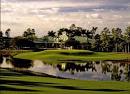 Forest Glen Golf & Country Club - Naples Golf Homes | Naples Golf Guy