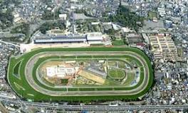 what-horse-track-is-jra