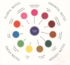 Fragrance Wheel Perfume Classification Chart Fragrance