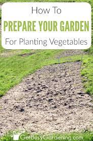 Garden Bed For Planting Vegetables