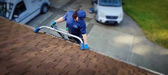 federal way gutter cleaning hal