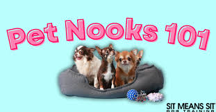 a full guide on pet nooks sms dog