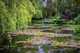 Claude Monet Photograph Monets
