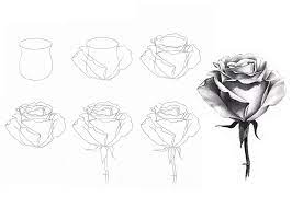 how to draw a rose with a pencil step