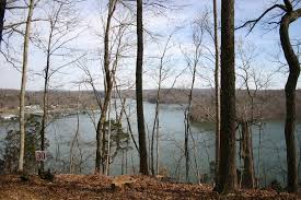Dale hollow lake can claim the designation of a jewel for many reasons: Lakefront Property For Sale In Kentucky