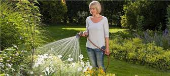 10 Golden Rules For Watering