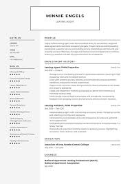 Leasing Agent Resume Examples Writing