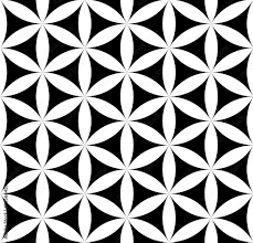 vector modern seamless pattern flower