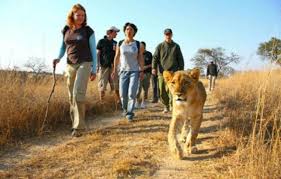 Destinations - Kubwa Five Safaris