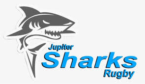 sharks rugby logo hd png