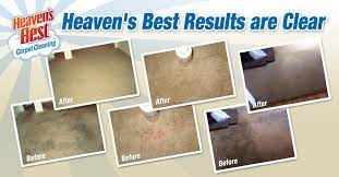 best carpet cleaning reviews in