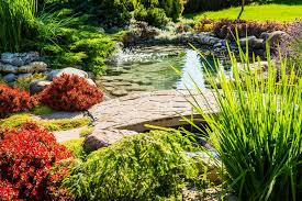 Zen Gardens And Their Health Benefits