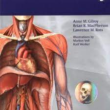 Anatomy 101 offers an exciting look into the inner workings of the human body. Atlas Of Anatomy Thieme Anatomy Download Pdf By Amanda