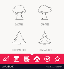 Tree Oak Tree And Christmas Tree Icons