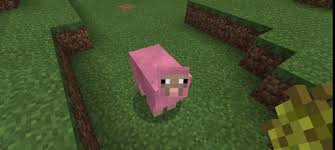 which-colour-sheep-is-rare-in-minecraft