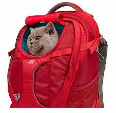 the cat backpack carrier ultimate guide
