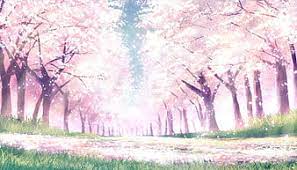 anime landscape spring cherry blossom