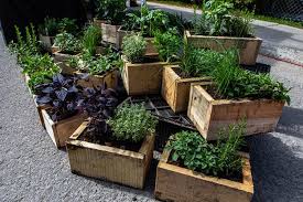 Build A Sy Diy Herb Planter Box