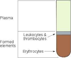 Hematocrit Wikipedia