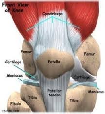 anterior knee pain patella fem